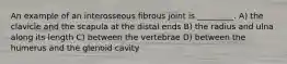 An example of an interosseous fibrous joint is _________. A) the clavicle and the scapula at the distal ends B) the radius and ulna along its length C) between the vertebrae D) between the humerus and the glenoid cavity