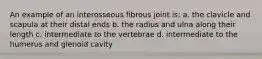 An example of an interosseous fibrous joint is: a. the clavicle and scapula at their distal ends b. the radius and ulna along their length c. intermediate to the vertebrae d. intermediate to the humerus and glenoid cavity