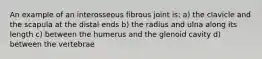 An example of an interosseous fibrous joint is: a) the clavicle and the scapula at the distal ends b) the radius and ulna along its length c) between the humerus and the glenoid cavity d) between the vertebrae