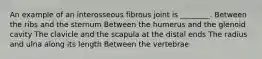 An example of an interosseous fibrous joint is ________. Between the ribs and the sternum Between the humerus and the glenoid cavity The clavicle and the scapula at the distal ends The radius and ulna along its length Between the vertebrae