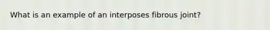 What is an example of an interposes fibrous joint?