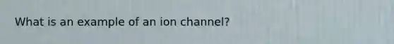 What is an example of an ion channel?