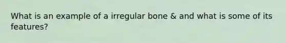 What is an example of a irregular bone & and what is some of its features?