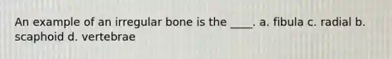 An example of an irregular bone is the ____. a. fibula c. radial b. scaphoid d. vertebrae