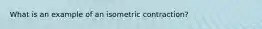 What is an example of an isometric contraction?