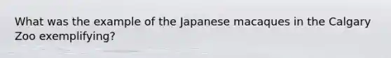 What was the example of the Japanese macaques in the Calgary Zoo exemplifying?