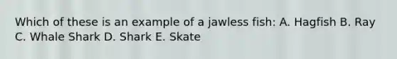 Which of these is an example of a jawless fish: A. Hagfish B. Ray C. Whale Shark D. Shark E. Skate