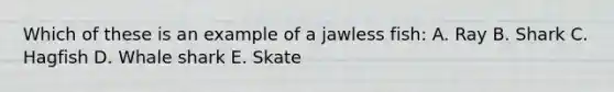 Which of these is an example of a jawless fish: A. Ray B. Shark C. Hagfish D. Whale shark E. Skate