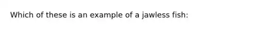 Which of these is an example of a jawless fish: