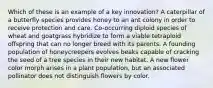 Which of these is an example of a key innovation? A caterpillar of a butterfly species provides honey to an ant colony in order to receive protection and care. Co-occurring diploid species of wheat and goatgrass hybridize to form a viable tetraploid offspring that can no longer breed with its parents. A founding population of honeycreepers evolves beaks capable of cracking the seed of a tree species in their new habitat. A new flower color morph arises in a plant population, but an associated pollinator does not distinguish flowers by color.