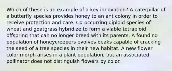 Which of these is an example of a key innovation? A caterpillar of a butterfly species provides honey to an ant colony in order to receive protection and care. Co-occurring diploid species of wheat and goatgrass hybridize to form a viable tetraploid offspring that can no longer breed with its parents. A founding population of honeycreepers evolves beaks capable of cracking the seed of a tree species in their new habitat. A new flower color morph arises in a plant population, but an associated pollinator does not distinguish flowers by color.