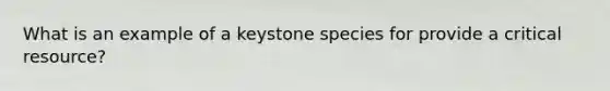 What is an example of a keystone species for provide a critical resource?