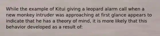 While the example of Kitui giving a leopard alarm call when a new monkey intruder was approaching at first glance appears to indicate that he has a theory of mind, it is more likely that this behavior developed as a result of: