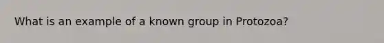 What is an example of a known group in Protozoa?