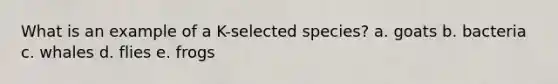 What is an example of a K-selected species? a. goats b. bacteria c. whales d. flies e. frogs