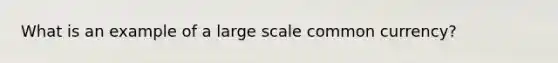 What is an example of a large scale common currency?