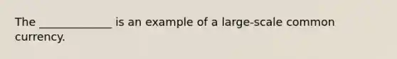 The _____________ is an example of a large-scale common currency.