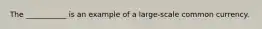 The ___________ is an example of a large-scale common currency.