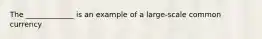 The _____________ is an example of a large-scale common currency