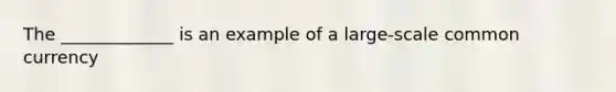 The _____________ is an example of a large-scale common currency