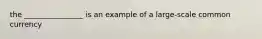 the ________________ is an example of a large-scale common currency