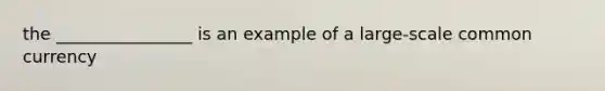 the ________________ is an example of a large-scale common currency