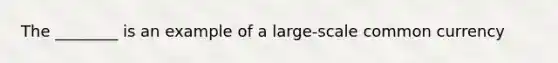 The ________ is an example of a large-scale common currency