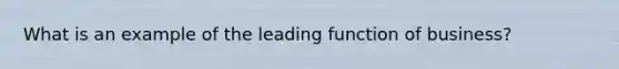 What is an example of the leading function of business?