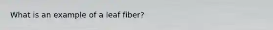 What is an example of a leaf fiber?