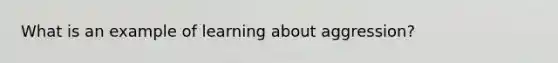 What is an example of learning about aggression?