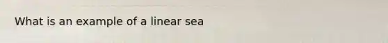 What is an example of a linear sea