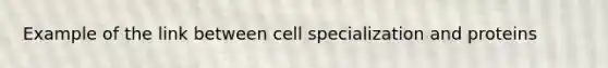 Example of the link between cell specialization and proteins