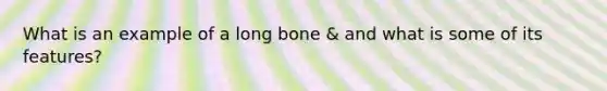 What is an example of a long bone & and what is some of its features?