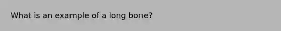 What is an example of a long bone?