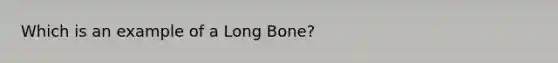 Which is an example of a Long Bone?