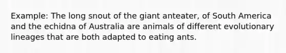 Example: The long snout of the giant anteater, of South America and the echidna of Australia are animals of different evolutionary lineages that are both adapted to eating ants.