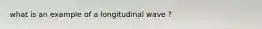 what is an example of a longitudinal wave ?
