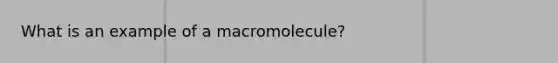 What is an example of a macromolecule?