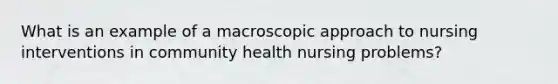 What is an example of a macroscopic approach to nursing interventions in community health nursing problems?