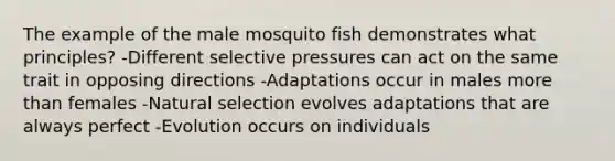 The example of the male mosquito fish demonstrates what principles? -Different selective pressures can act on the same trait in opposing directions -Adaptations occur in males more than females -Natural selection evolves adaptations that are always perfect -Evolution occurs on individuals