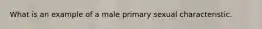 What is an example of a male primary sexual characteristic.