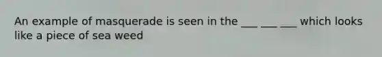 An example of masquerade is seen in the ___ ___ ___ which looks like a piece of sea weed