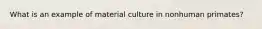 What is an example of material culture in nonhuman primates?