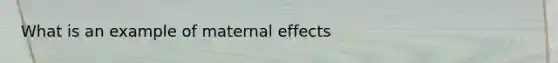 What is an example of maternal effects