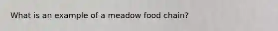 What is an example of a meadow food chain?