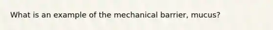 What is an example of the mechanical barrier, mucus?