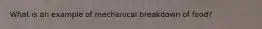 What is an example of mechanical breakdown of food?