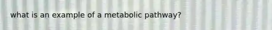 what is an example of a metabolic pathway?