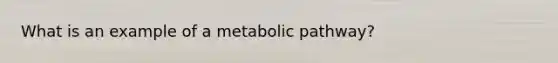 What is an example of a metabolic pathway?