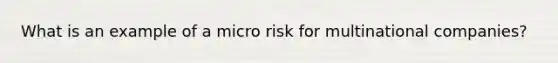 What is an example of a micro risk for multinational companies?